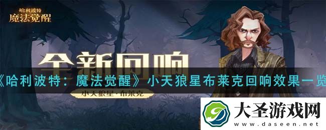 哈利波特魔法觉醒小天狼星布莱克回响怎么样