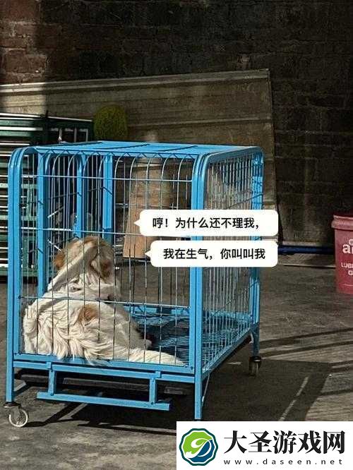 老牛嫩草一二三产品区别蘑菇视频