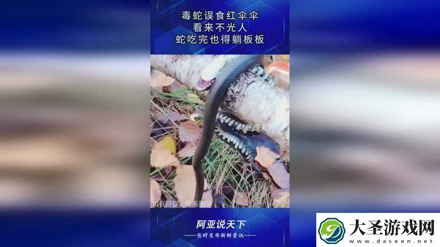 亲吻拔萝卜原声