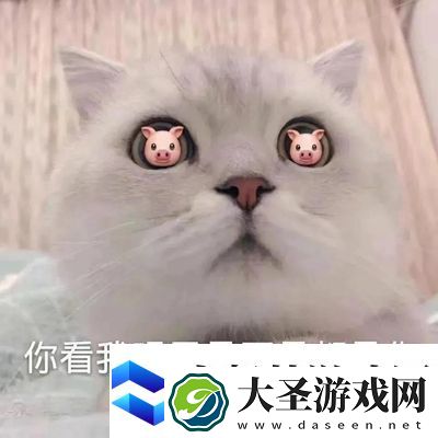 你看我眼里是不是都是你猪表情包