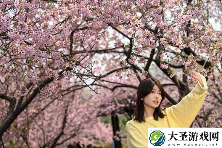 我们换个地方做樱花