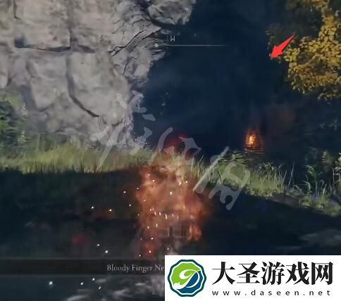 艾尔登法环帕奇在哪