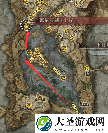 艾尔登法环拉妮任务流程