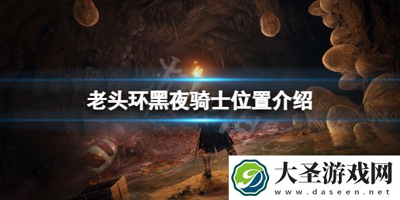 艾尔登法环黑夜骑士在哪