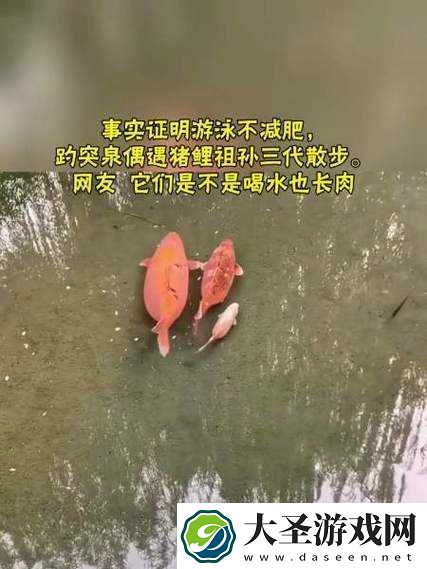 女人绝技鲤鱼喝水