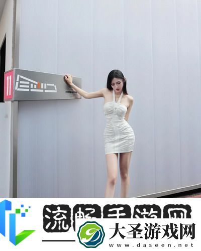 荷兰日b赛现场视频