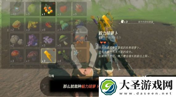 王国之泪在乌梅的田里种什么攻略
