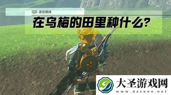 王国之泪在乌梅的田里种什么攻略