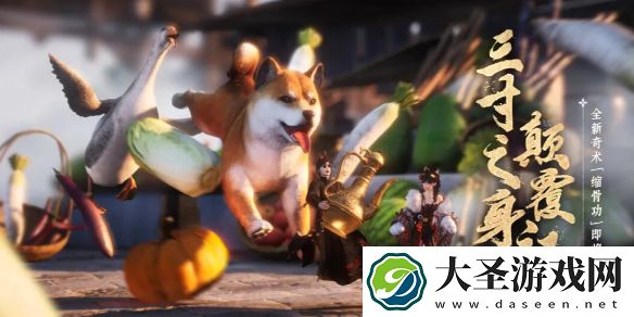 燕云十六声缩骨功在哪学