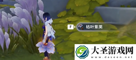 原神枯叶紫英在哪