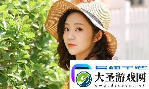 韩国理论大全成热点