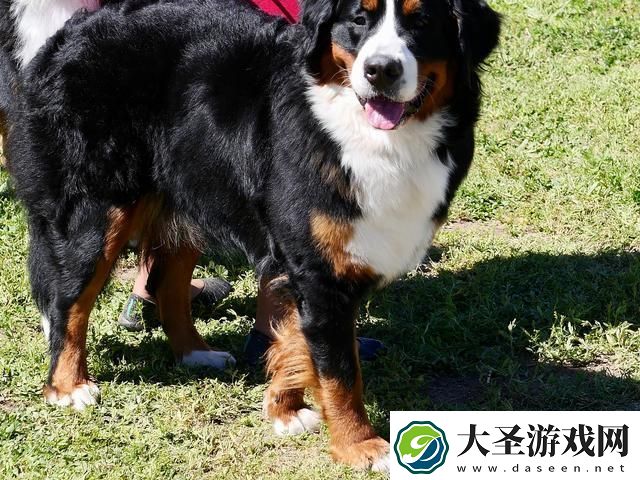 辣眼睛