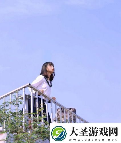 美国人与动物胶配方有几种