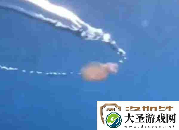 抖音不如水母是什么梗