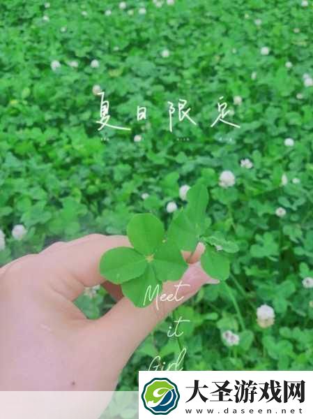 四叶草欧洲和国产区别