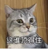 网游时光机