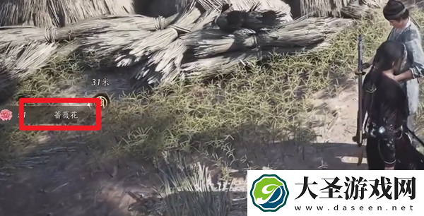 燕云十六声蔷薇风信任务怎么过
