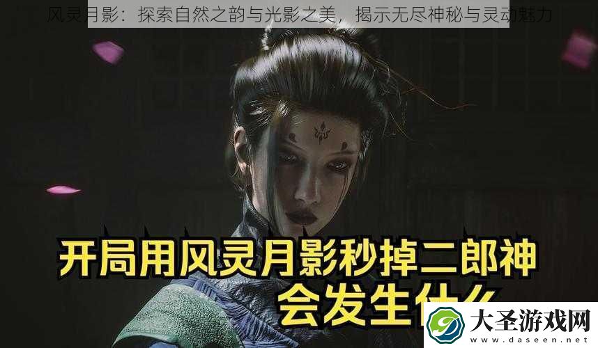 风灵月影