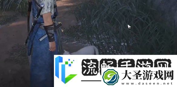 燕云十六声七阀坡猫咪在哪