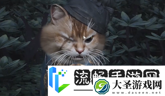 燕云十六声七阀坡猫咪在哪