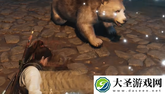 燕云十六声阴阳如影怎么过