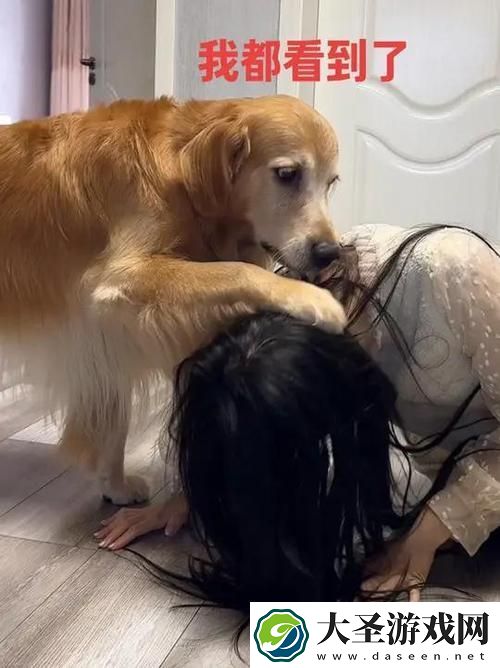 大狗锁住女人狗的视频大全
