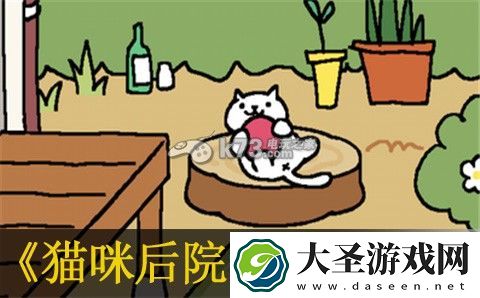 猫咪后院全猫收集解锁条件一览