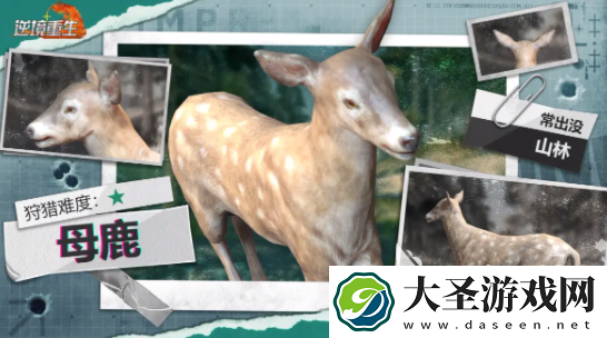 逆境重生母鹿出没位置
