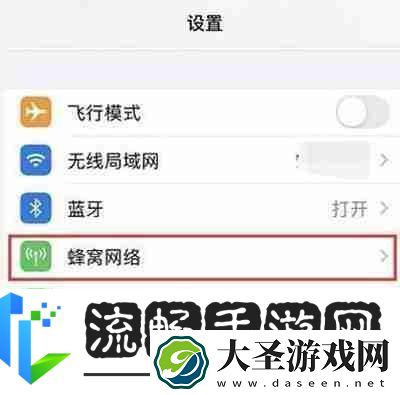 iphone13怎么开启5g络