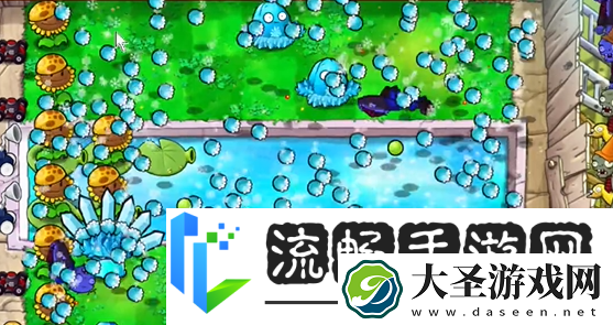 植物大战僵尸杂交版泳池防守第五关怎么过植物大战僵尸杂交版泳池防守第5关攻略