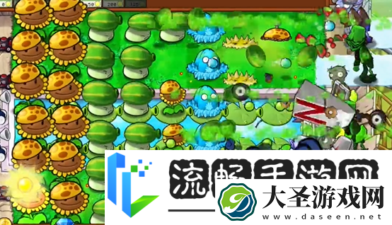 植物大战僵尸杂交版泳池防守第五关怎么过植物大战僵尸杂交版泳池防守第5关攻略