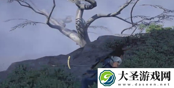 燕云十六声菩提苦海宝箱在哪
