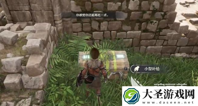 荒野起源宝箱有哪些