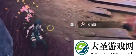 鸣潮礼花蒴采集路线