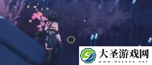 鸣潮礼花蒴采集路线