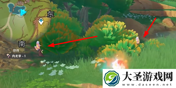 原神绮绘的踪绪活动怎么拍照