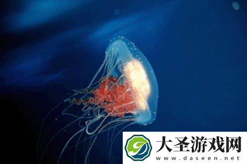 世界之最