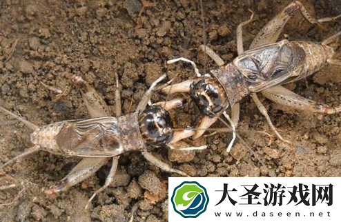 世界之最