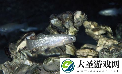 世界之最
