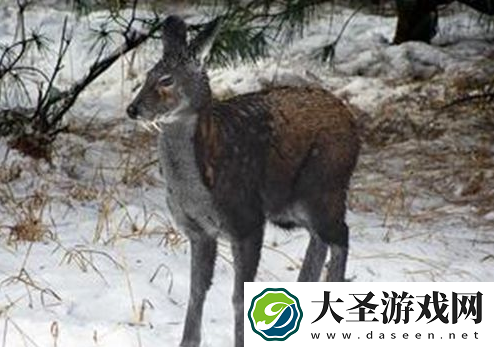 世界之最