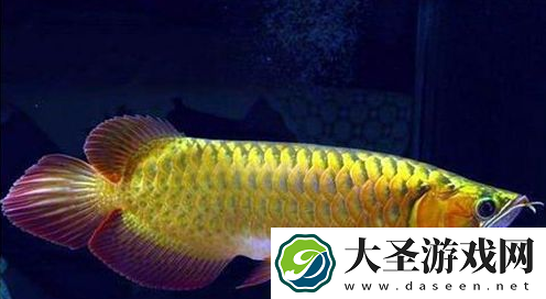 世界之最