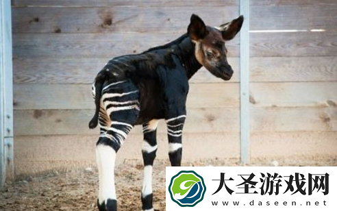 世界之最