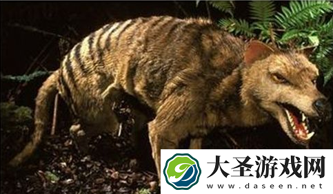 世界之最