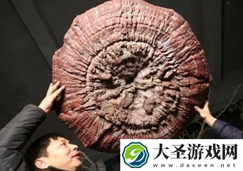 世界之最