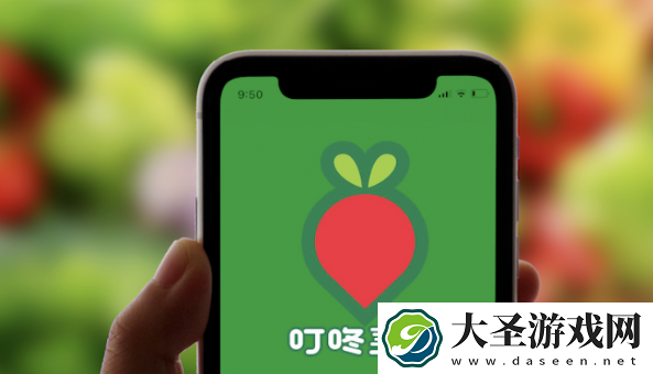 叮咚买菜Q1营收同比下降8.2%