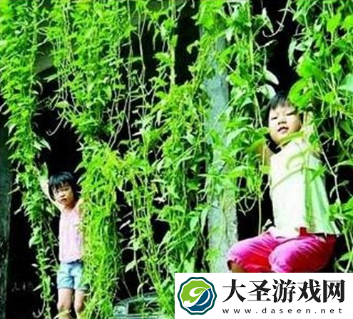 世界之最
