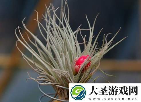 世界之最