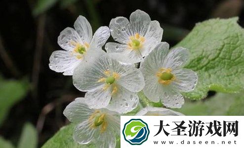 世界之最