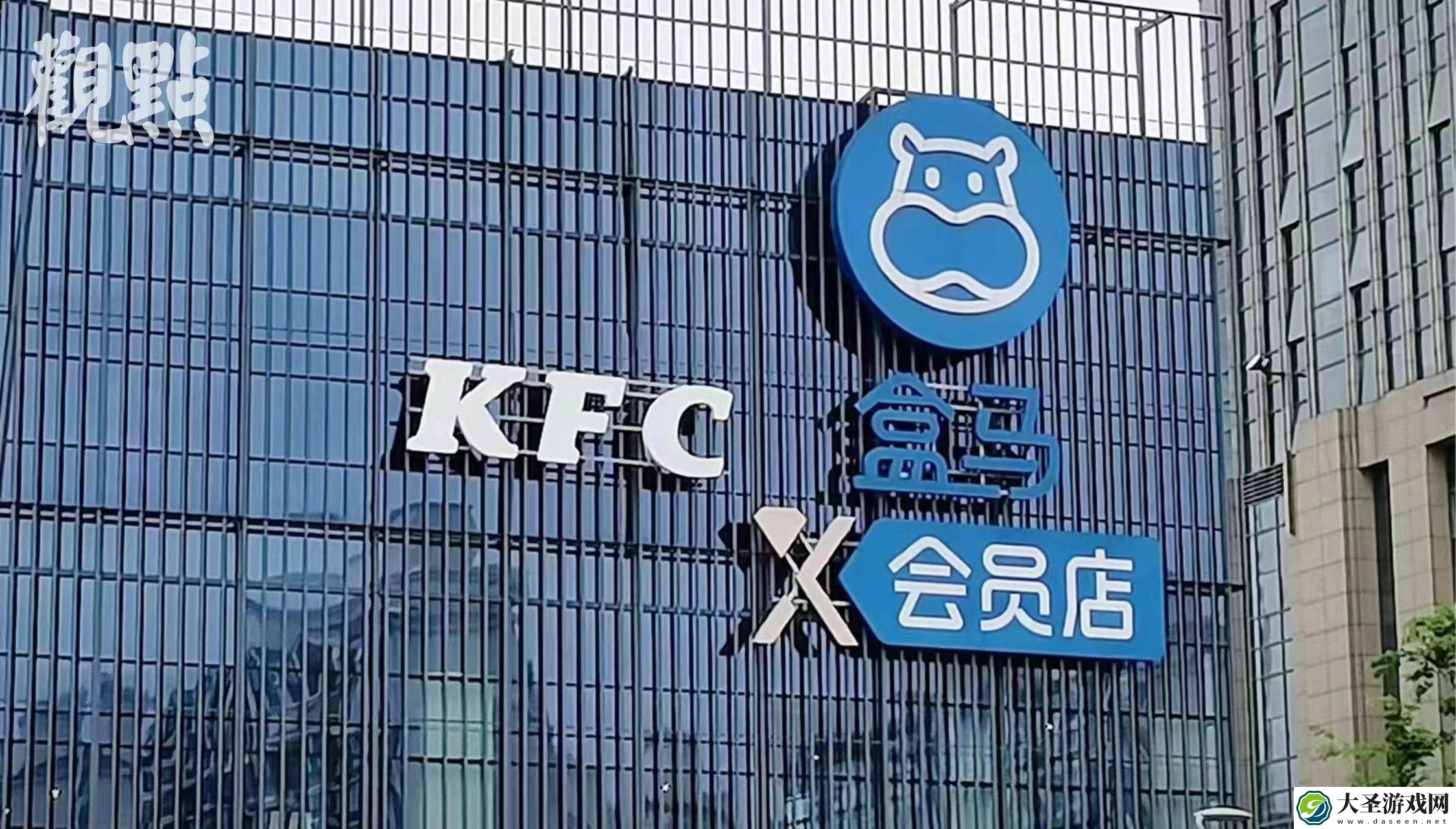 盒马24小时绿色通道开启