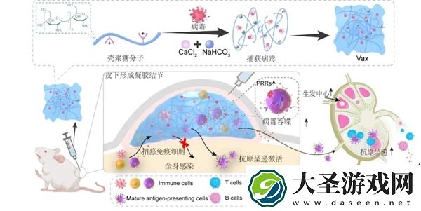 病毒变疫苗！浙大做到了